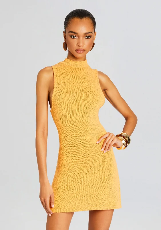 Ginger Knit Mini Dress