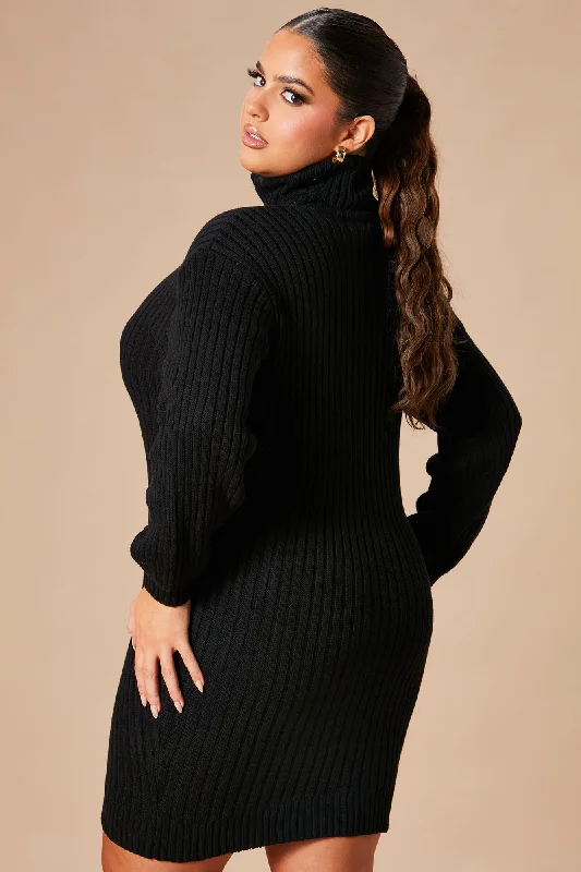 Too Cozy Turtle Neck Sweater Dress - Black