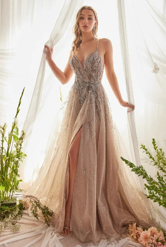Time to Save Big!Andrea & Leo A1165 Sleeveless A Line Tulle Formal Gown