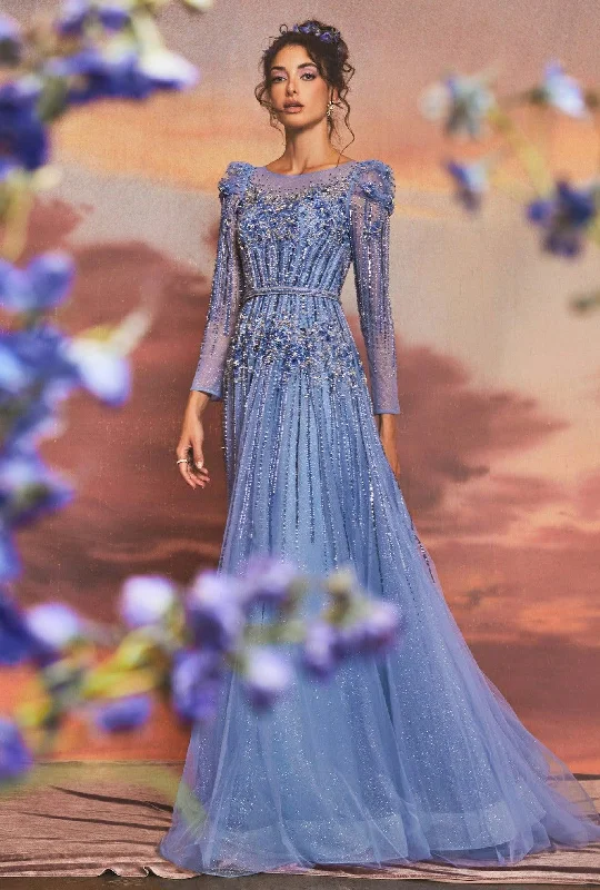 Limited Edition, Limited Price!Andrea & Leo A1167 Long Sleeve A Line Formal Gown